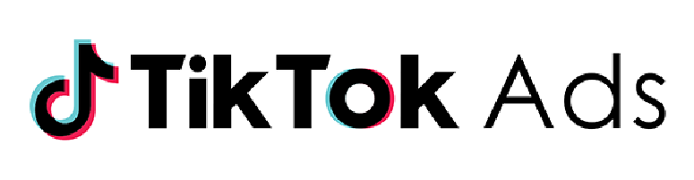 TikTok ads Partner